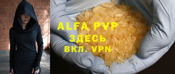 амф Коряжма