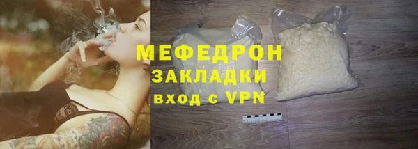 индика Краснослободск