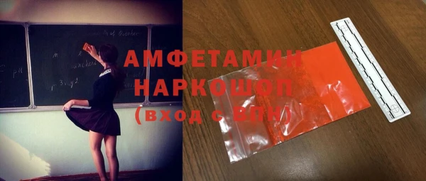индика Краснослободск