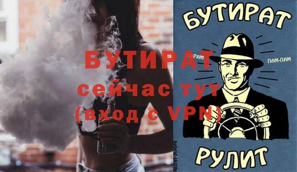 индика Краснослободск
