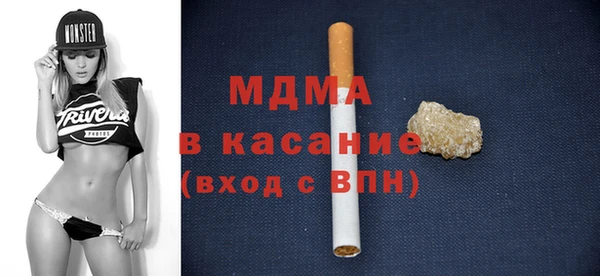 индика Краснослободск