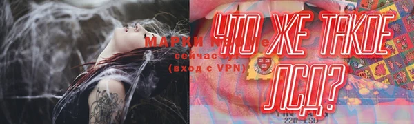 амф Коряжма
